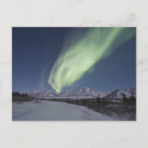 Streamers of aurora borealis fill the sky postcard