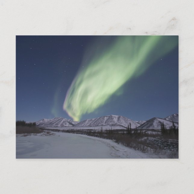 Streamers of aurora borealis fill the sky postcard (Front)