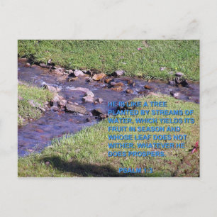 STREAMS POSTCARD