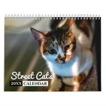 Street Cats Photo Wall Calendar