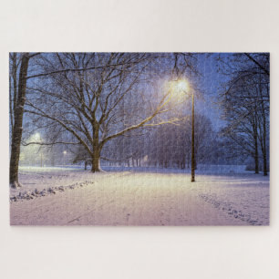 Street lights and covered in snow trees jigsaw puz puzzle