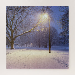 Street lights and covered in snow trees jigsaw puzzle
