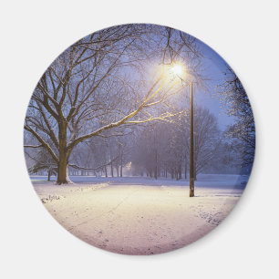 Street lights and covered in snow trees magnet