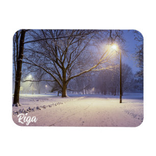 Street lights and covered in snow trees magnet