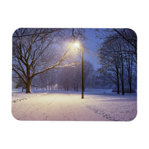Street lights and covered in snow trees magnet