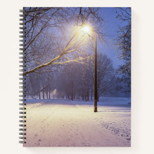 Street lights and covered in snow trees notebook