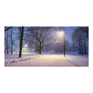 Street lights and covered in snow trees photo print