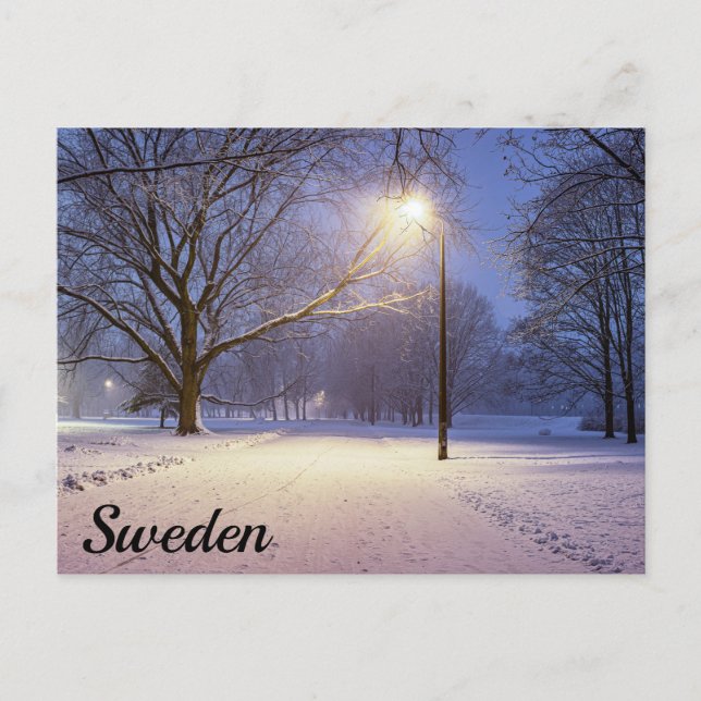 Street lights and covered in snow trees postcard (Front)