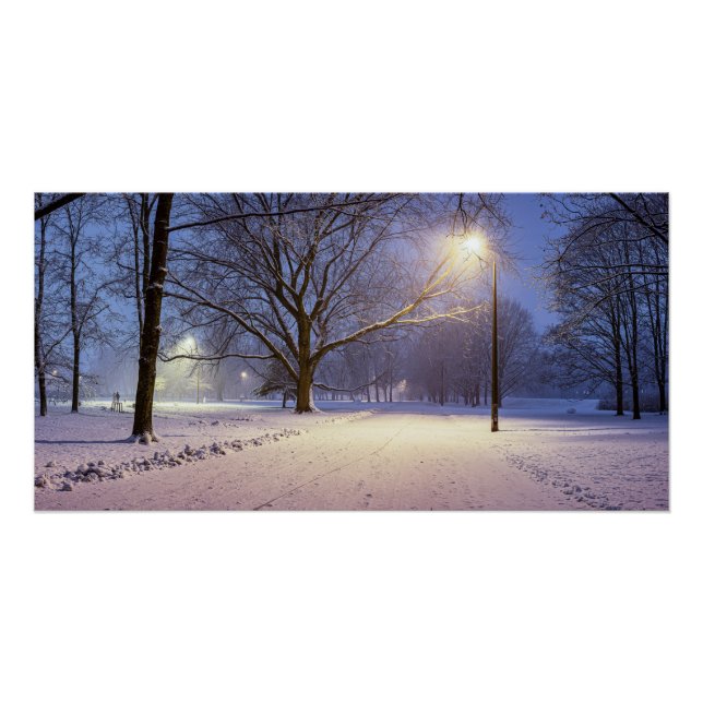 Street lights and covered in snow trees poster (Front)