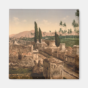 Street of the Tombs, Pompeii, Campania, Italy Magnet