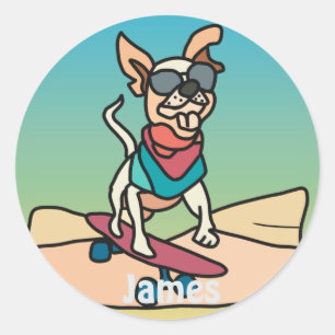 Street Retro Dog with Sunglasses on Skateboard Classic Round Sticker