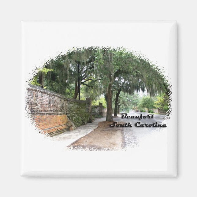 Street Scene, Beaufort, SC Magnet (Front)