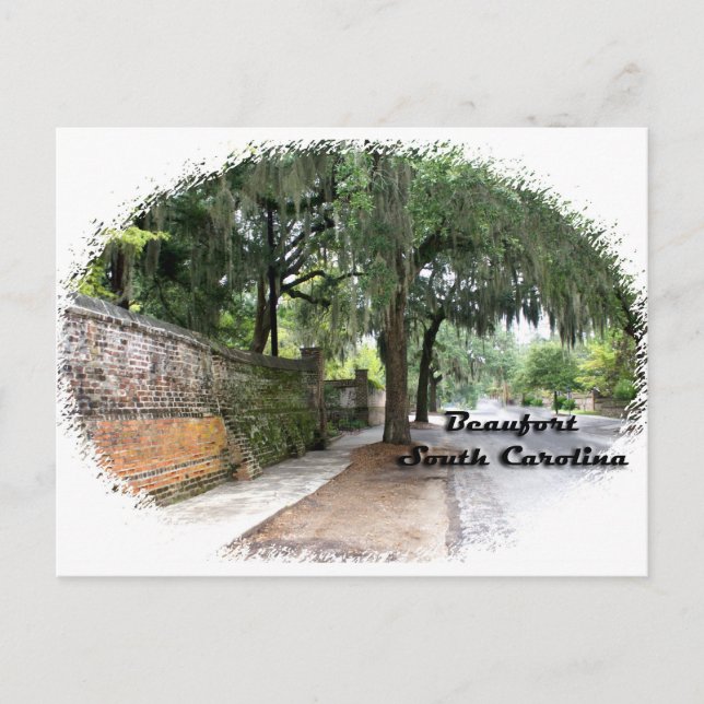 Street Scene, Beaufort, SC Postcard (Front)