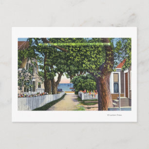 Street Scene of Residences Postcard