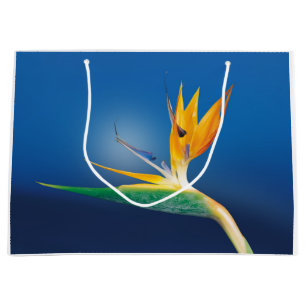 Strelitzia. Bird of paradise flower. Large Gift Bag