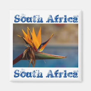 Strelitzia Flower South Africa Nature Magnet