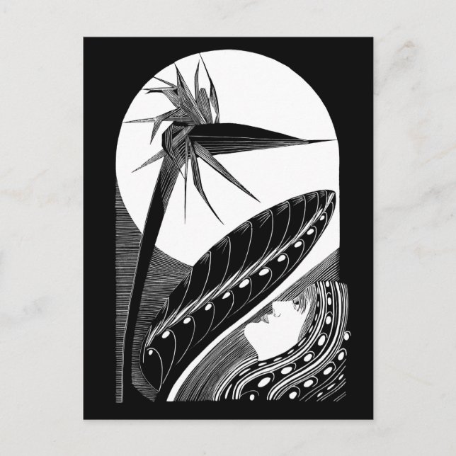 Strelitzia overblown - black and white vintage art postcard (Front)