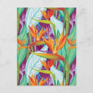 Strelitzia Pattern Postcard