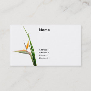 Strelitzia Reginae and reed Business Card