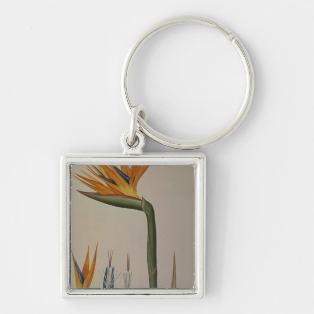 Strelitzia Reginae, from 'Les Strelitziacees' Key Ring (Front)