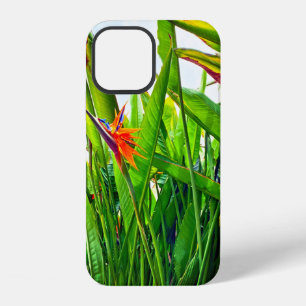 Strelitzia Reginae & Leaves iPhone 12 Case