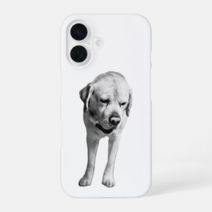 Strength in Stillness iPhone 16 Case