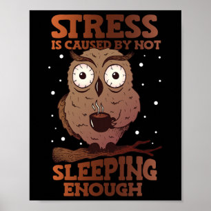 Stress Is Caused By Not Sleeping Stress Awareness Poster