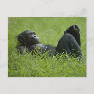 Stress Relief Postcard