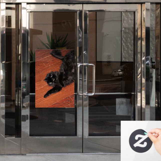 Stretch (Office Door)