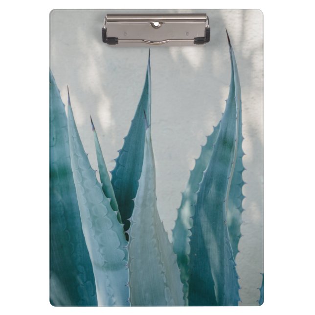 Stretch and Grow Clipboard (Front)