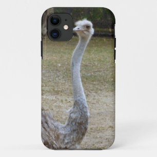 Stretch iPhone 11 Case