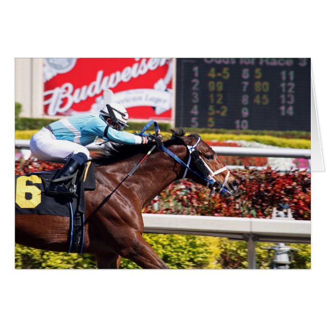 Stretch Drive (Front Horizontal)