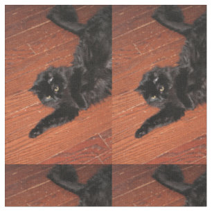 Stretch Fabric