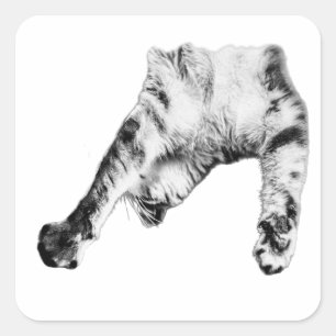 Stretch Life Square Sticker