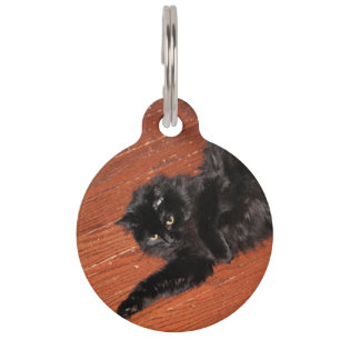Stretch Pet Tag