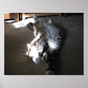 Stretch.... Poster