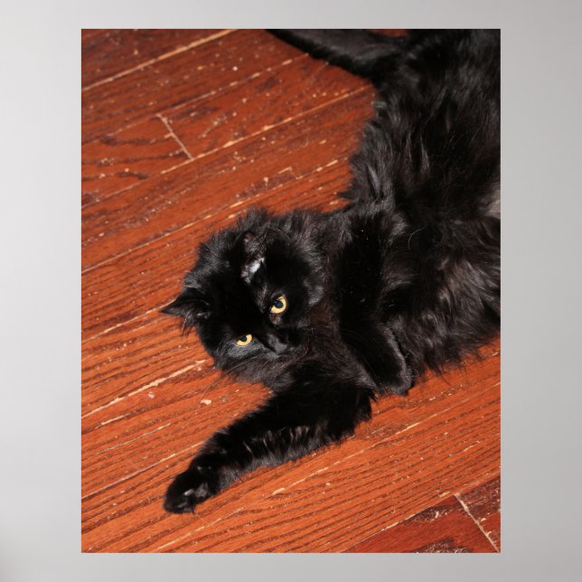 Stretch    poster (Front)