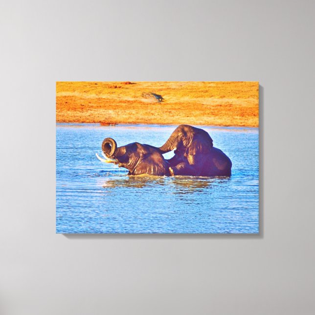Stretched Canvas Print (Front)