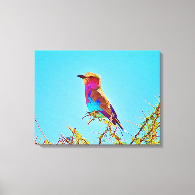 Stretched Canvas Print (Front)