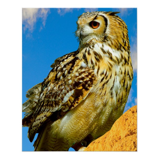 Stretched Canvas Print (Front)