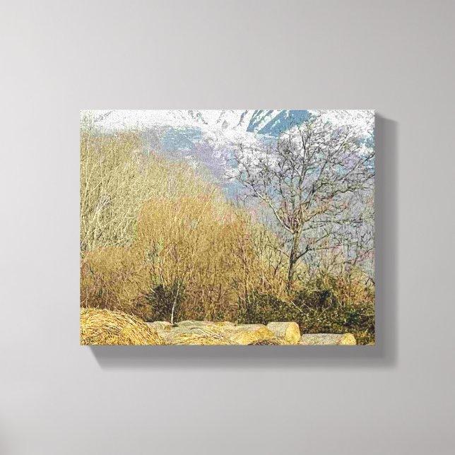 Stretched Canvas Print  (Front)