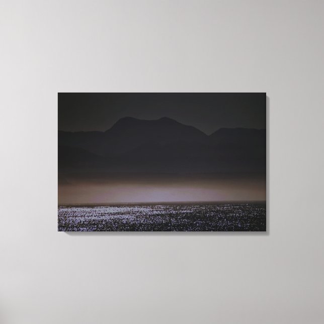 Stretched Canvas Print (Front)