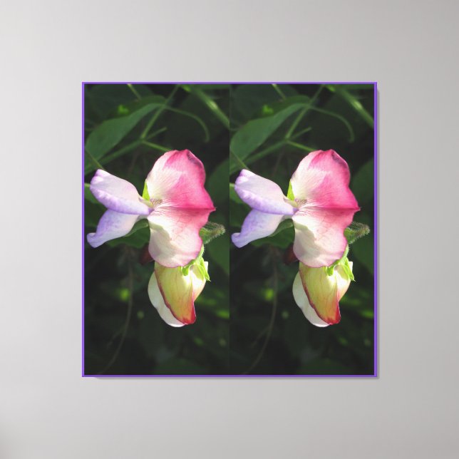 Stretched Canvas Print (Front)