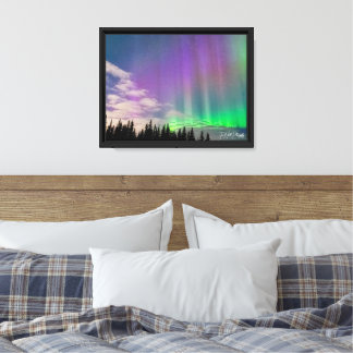 Stretched Canvas Print