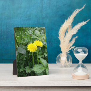 Stretched Canvas Print Plaque