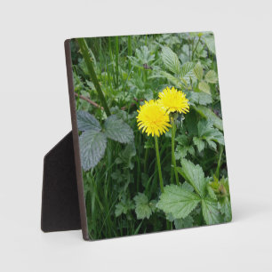 Stretched Canvas Print Plaque