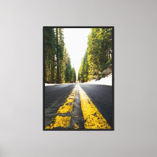 Stretched Canvas Print - Sequoia National Park