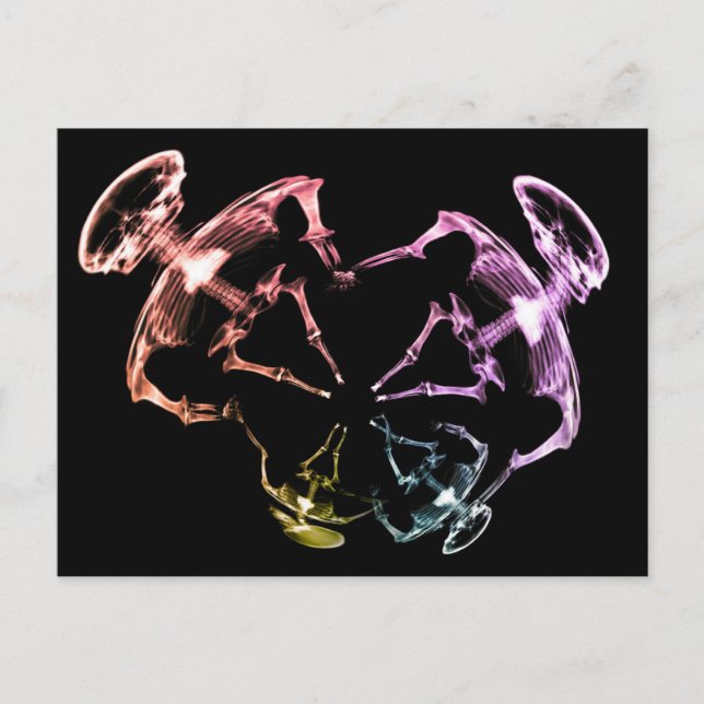 Stretched X-Ray Skeleton Family 3 Postcard (Front)