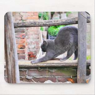 Stretching cat mouse pad