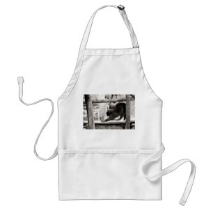 stretching cat on apron